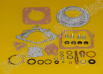 276306 CDSK6