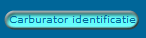 Carburator identificatie