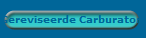 Gereviseerde Carburatoren