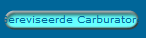 Gereviseerde Carburatoren